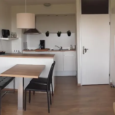 Apartment Vakantiestudio De Zeeparel De Panne